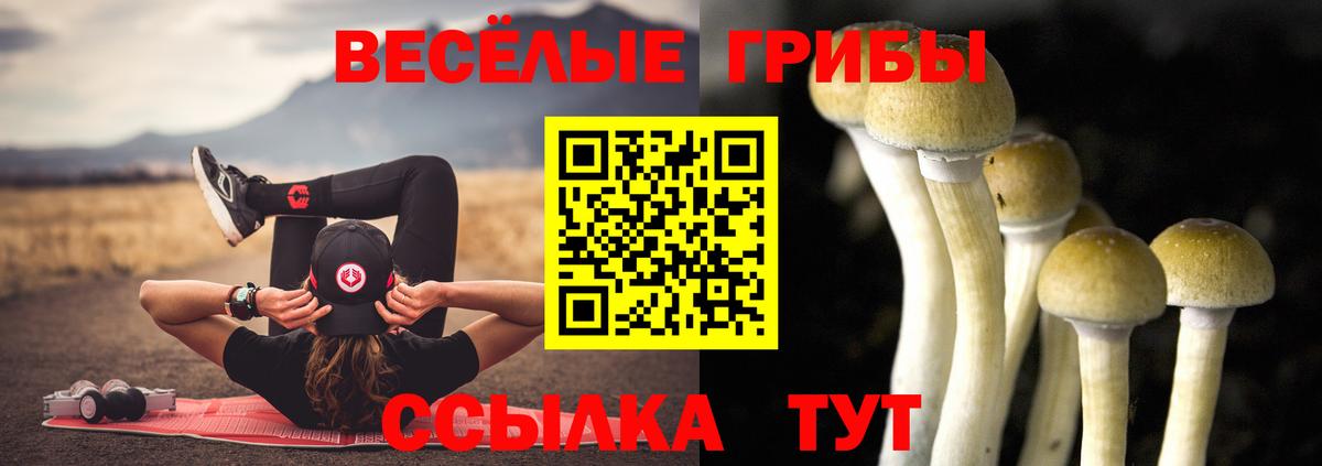Карпинск  Псилоцибиновые грибы GOLDEN TEACHER  Вход с VPN 